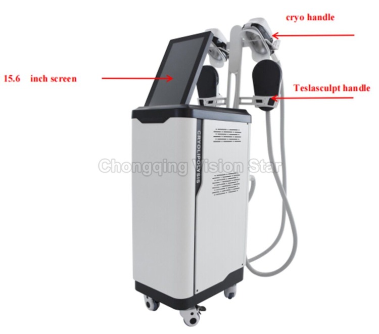 HYBCOOLCLS001 Cryolipolysis Emslim